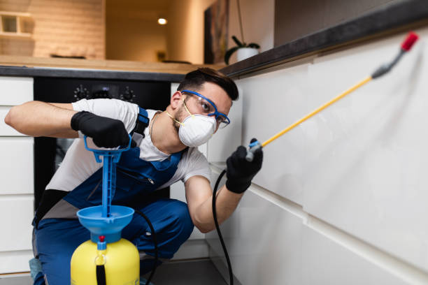 Best Pest Prevention Services  in Bnchard, LA