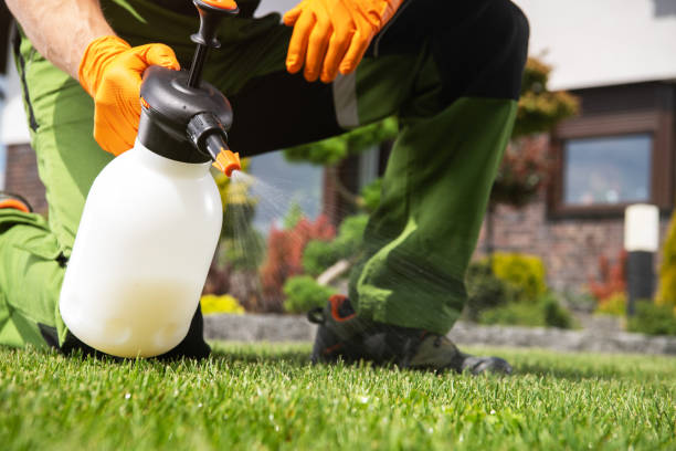 Wasp Removal Services in Blanchard, LA