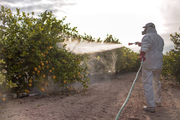 Best Pest Control for Businesses  in Bnchard, LA