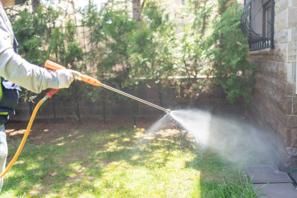 Best Pest Control Treatment  in Bnchard, LA