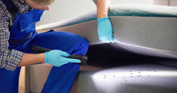 Best Pest Removal Services  in Bnchard, LA