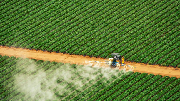 Best Pest Inspection Near Me  in Bnchard, LA