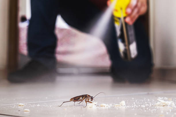 Best Best Pest Control Companies  in Bnchard, LA